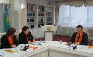 Защитные щиты для женщин: омбудсмен о необходимости улучшения механизмов против домашнего насилия