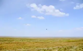 Успешное возвращение неиспользуемых сельскохозяйственных земель в Абайской области: шаг к развитию аграрного сектора региона