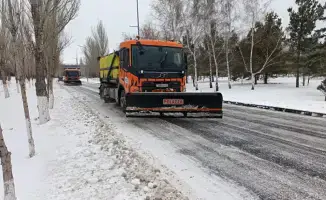 В Астане продолжается активная борьба с зимними погодными условиями: более 800 рабочих и 1220 единиц техники очищают город от снега и наледи