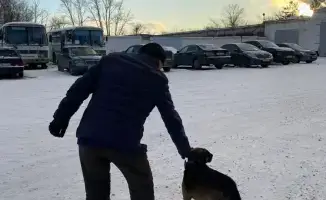 История о верности и надежде в Павлодаре Иван и его пес Тайсон