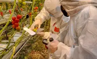 Платная фитосанитарная экспертиза как способ повышения качества и продовольственной безопасности Казахстана