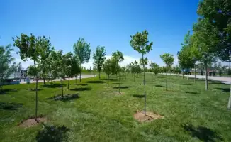 Субботники в Туркестане 40256 участников 186 тонн мусора