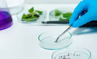 Новый карантин для повышения безопасности в Казахстане