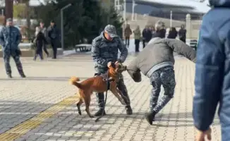 Четвероногий защитник: полицейская собака раскрывает тайны на встрече со студентами Жетысу