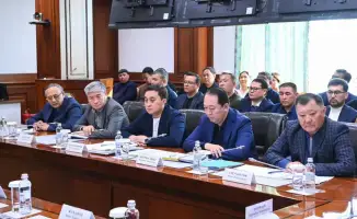 Жесткий контроль за ценами и газом: последствия для местных руководителей