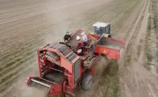 Заявки на дизтопливо в декабре 2023 года