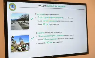 Алматы: штрафы за чистоту и зеленые инициативы!