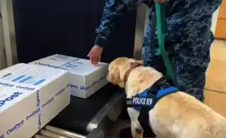 В Западно-Казахстанской области за 10 месяцев 2025 года выявлено 238 правонарушений, связанных с наркотиками