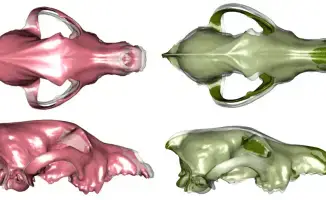 Собаки с древними корнями: казахи на передовой науки!
