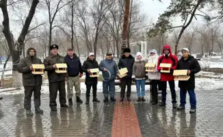 В Караганде установили кормушки для птиц в рамках экологической акции ко Дню синички