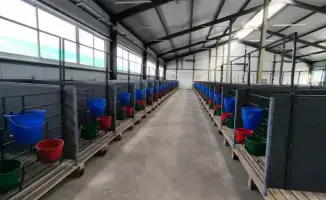 Новая ферма открыта в Костанайской области