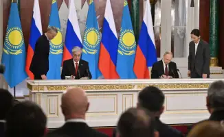 Передача амурских тигров Казахстану: шаг к восстановлению популяции в Центральной Азии