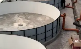 Строительство рыбоводческого комплекса в Восточно-Казахстанской области: новые возможности для местного производства и потребления