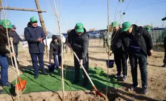 В Казыгурте местные жители и волонтеры объединились для посадки более 5000 деревьев в рамках программы «Таза Қазақстан»