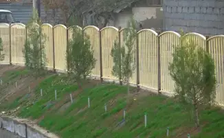 В Келесе прошла осенняя акция по посадке деревьев с участием местных жителей и волонтеров