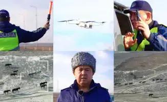 Использование дронов в Атырау: снижение числа аварий на дорогах благодаря контролю за выпасом скота