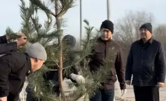 Высадка 150 сосен в Актобе: вклад предпринимателей в озеленение города