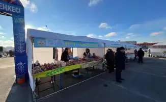 Фермеры Караганды представили более 156 тонн натуральных продуктов на ярмарке урожая