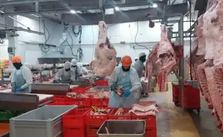 Расширение экспортных возможностей казахстанских производителей через включение в Реестр импортеров ОАЭ