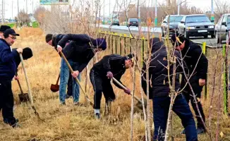 Весна пробуждает Кызылординскую область: 440 тысяч сердец объединяются для зелёного будущего