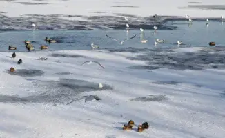 Казахстанцы готовятся к неожиданным погодным сюрпризам: прогноз на 27-29 ноября от синоптиков Казгидромета