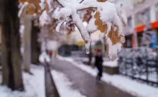 Температура в Казахстане продолжает расти: "Казгидромет" подтверждает потепление зимы