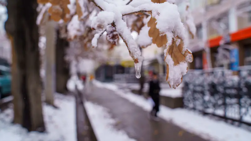 Температура в Казахстане продолжает расти: "Казгидромет" подтверждает потепление зимы Павлодаре