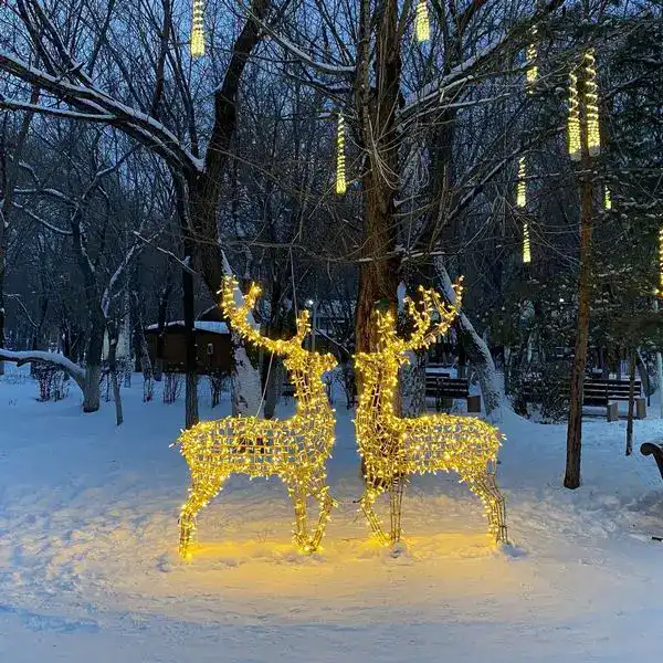 Немного волшебства: кто в Караганде создаёт новогоднюю атмосферу (5)