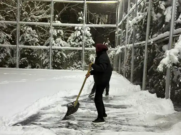 Алматы: Эко-революция, где молодость встречает природу Павлодаре