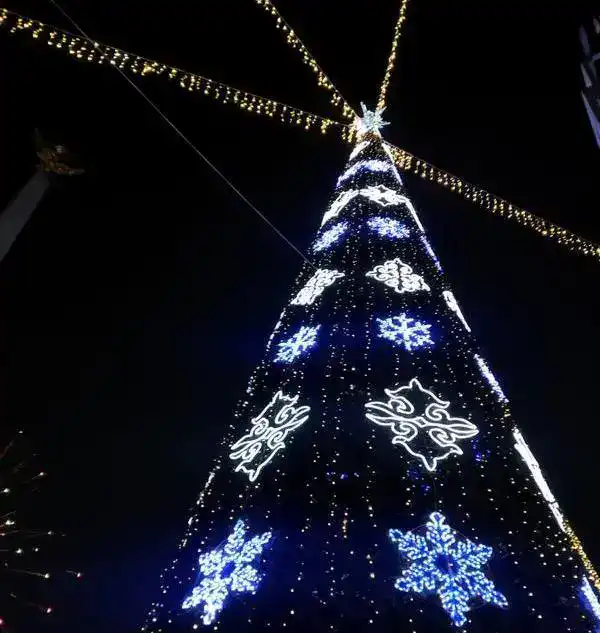 Караганда готовится к Новому году: главную ёлку города зажгут 26 декабря (7)