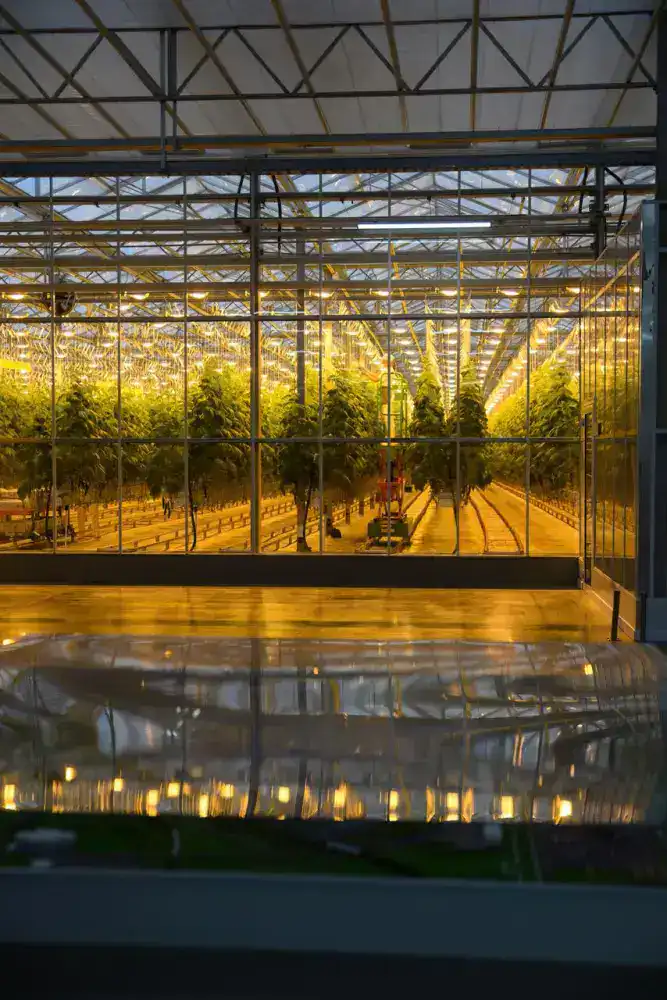 Расширение мощностей тепличного комплекса Зеленый Север до 4 5 тыс тонн овощной продукции в год Павлодаре