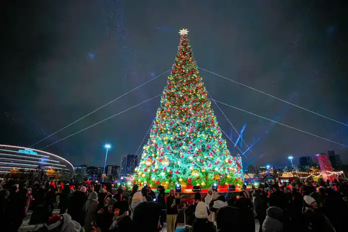 Зажгите свой Новый год: более 40 елок осветили Астану волшебством зимней сказки Павлодаре