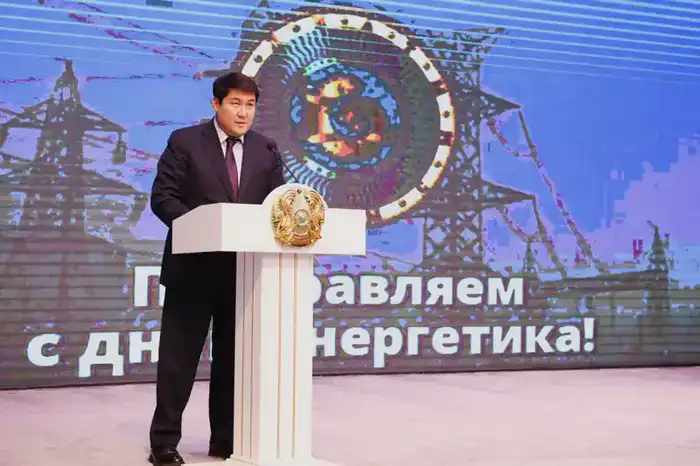 День энергетика отметили в Алматинской области (2)