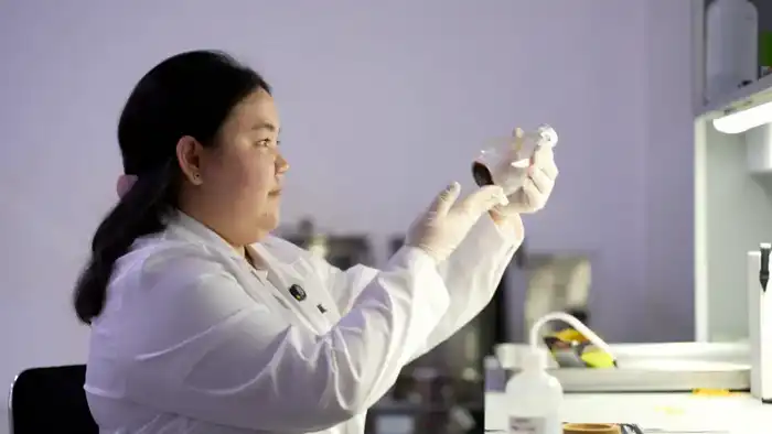 Ученый КазНУ Айжамал Байсеитова доказала эффективность цикория в снижении уровня сахара в крови Павлодаре