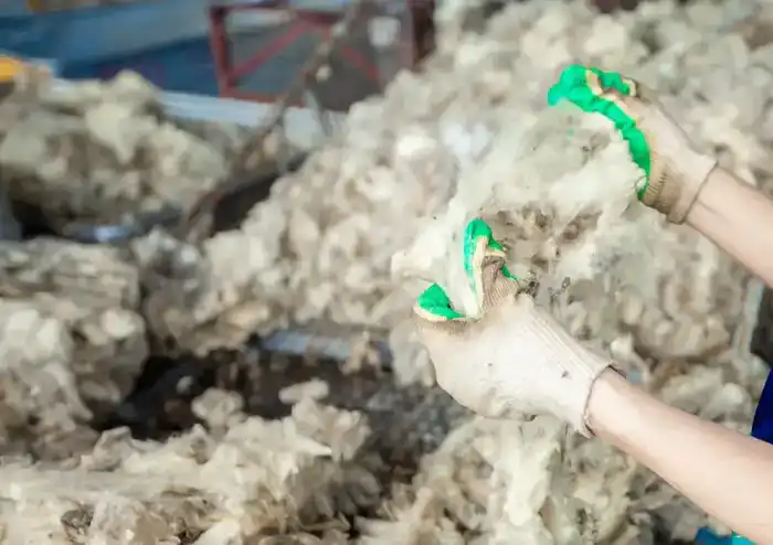 Запуск завода по переработке шерсти в Актюбинской области: новые рабочие места и экологические инициативы Павлодаре