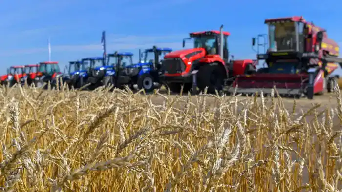 Сельское хозяйство на пике урожая: прирост продукции на 6,1% как новый урожайный рекорд Павлодаре