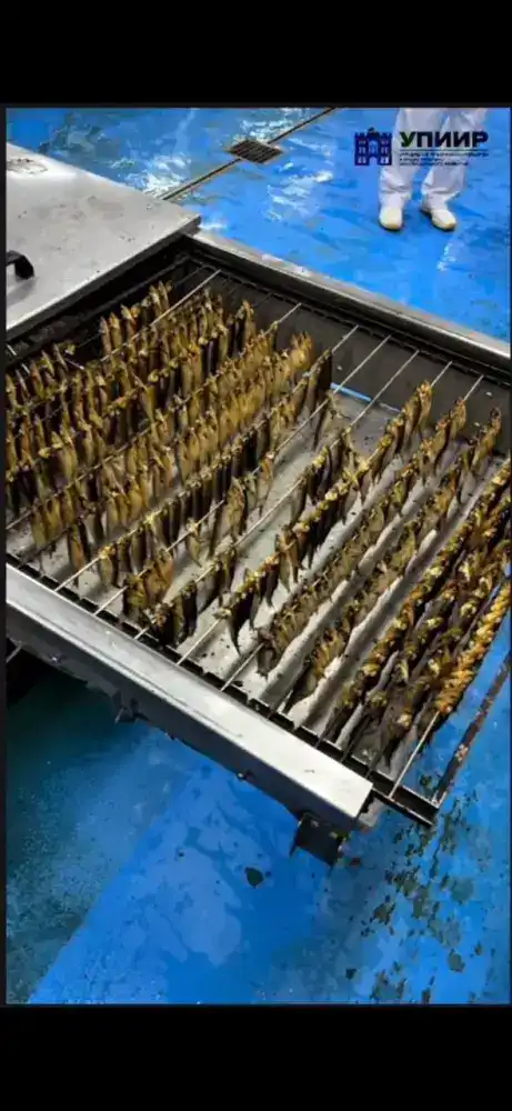 Асет Нусупов посетил Западно-Казахстанскую область (5)