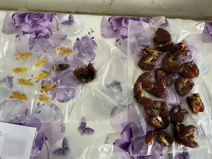 Пресечение попыток проноса запрещённых предметов в учреждения УИС Павлодара Павлодаре