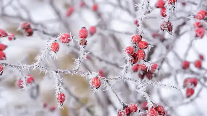 35-градусные морозы ожидаются в Казахстане: синоптики Казгидромета представили прогноз на 9-11 декабря Павлодаре