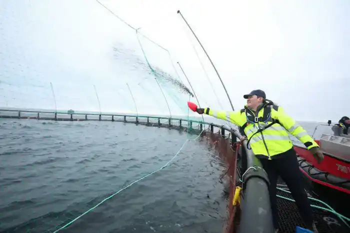 В Мангистауской области реализуется первый в Центральной Азии морской аквакультурный проект (2)