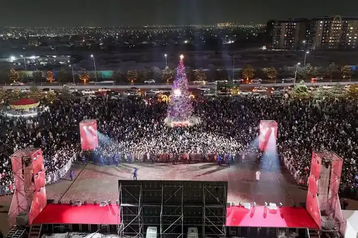 В Шымкенте зажгли огни главной новогодней ёлки города (4)