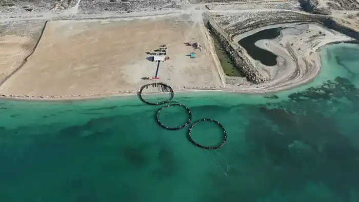 Инвестиции в аквакультуру: как 50 млрд тенге изменят отрасль к 2030 году Павлодаре