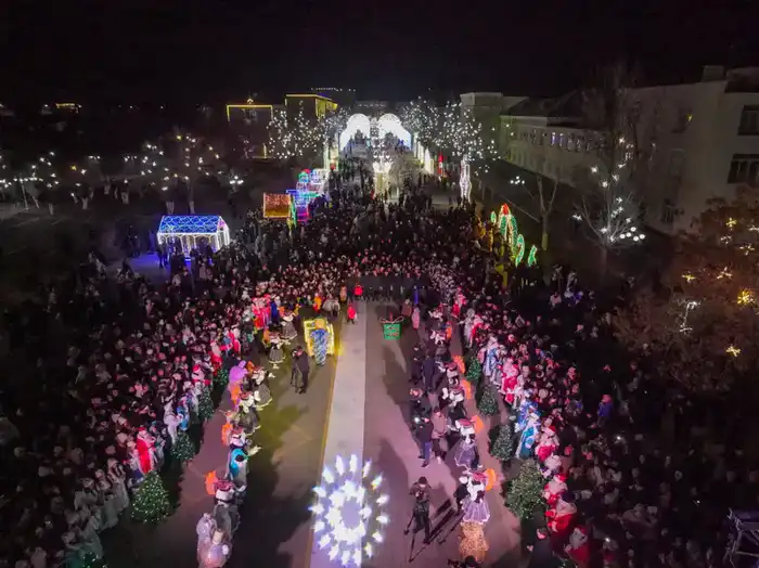 Зажглась новогодняя елка (5)