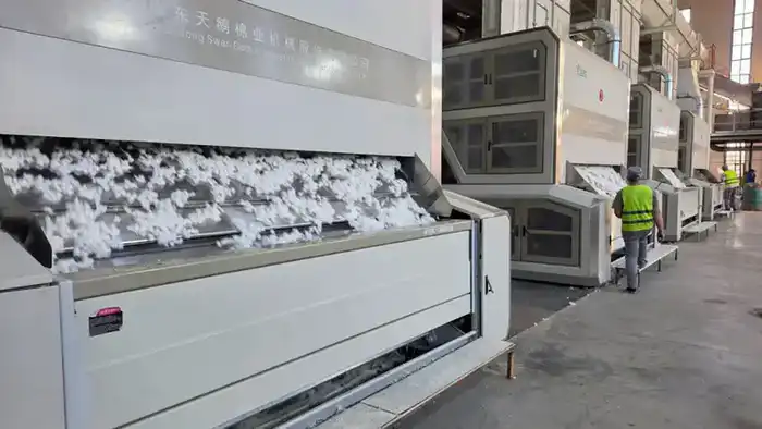 Создание нового хлопкового кластера в Туркестанской области: новые рабочие места и инвестиции в экономику региона Павлодаре