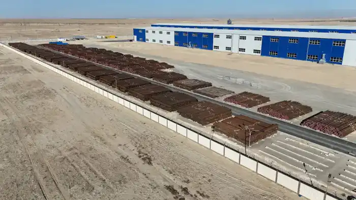 Рост торговли в Мангистауской области на 108%: позитивные экономические последствия Павлодаре