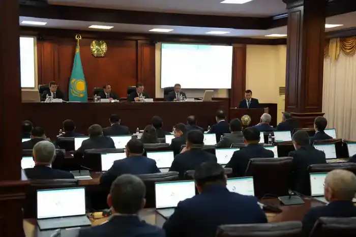 Рабочая группа для определения лимитов по выращиванию влагоемких культур будет создана в Кызылординской области (2)