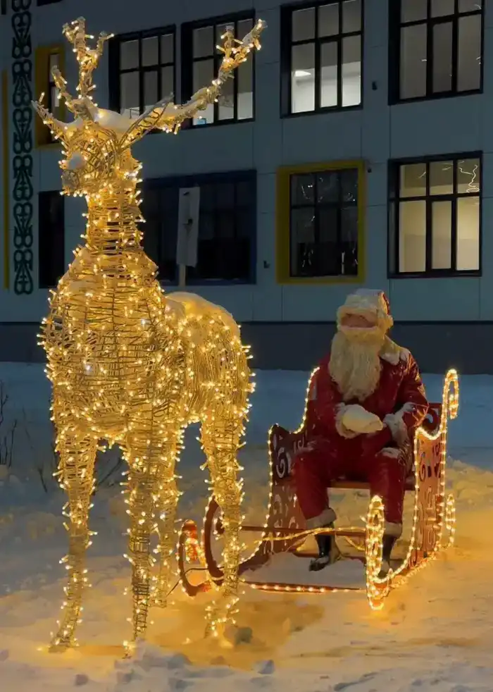 Горки, катки и новогодние елки: где в Астане расположены главные зимние локации (2)