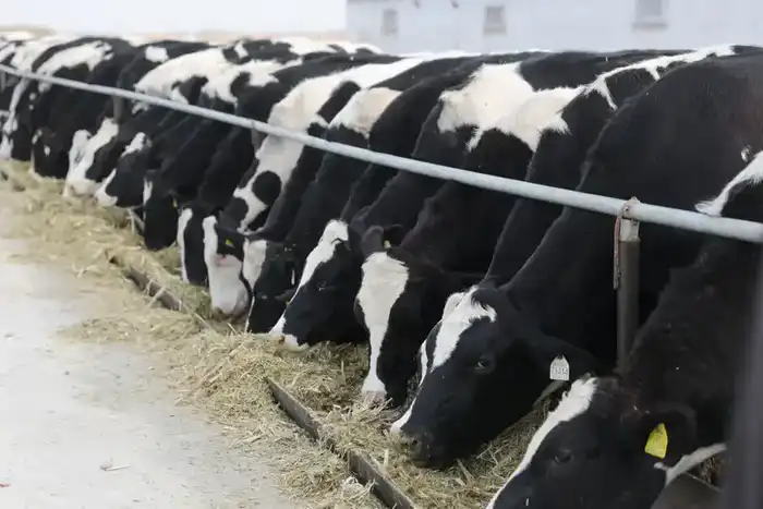 Почти 30 млрд тенге субсидий направлено на развитие агросектора Жамбылской области (2)