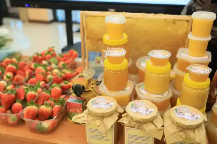 Кооперативы и новые производства: результаты программы «Ауыл аманаты» Павлодаре