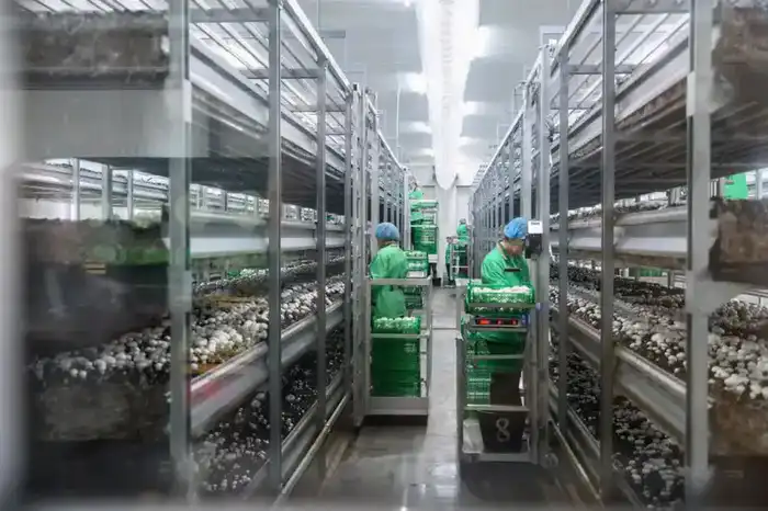 Производство сгущенного молока мощностью 12 тыс. тонн в год запустили в СКО (7)